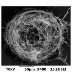 Laser induced Graphene Studies