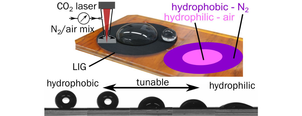 Different Roles of Surface Chemistry and Roughness of Laser-Induced Graphene: Implications for Tunable Wettability