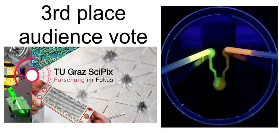 Third place at TU Graz SciPix audience vote